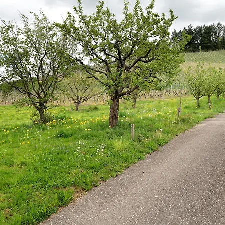 Erlebnis-bauernhof Heimatliebe Διαμέρισμα Oberkirch (Baden)