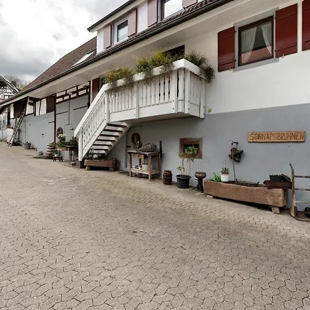 Διαμέρισμα Erlebnis-bauernhof Heimatliebe Oberkirch (Baden)